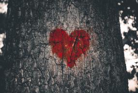 a red heart painted on the trunk of a tree
