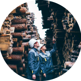 two workers standing next to a pile of wooden logs