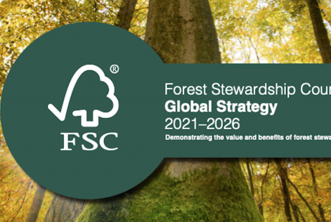 an image if the FSC strategy brochure