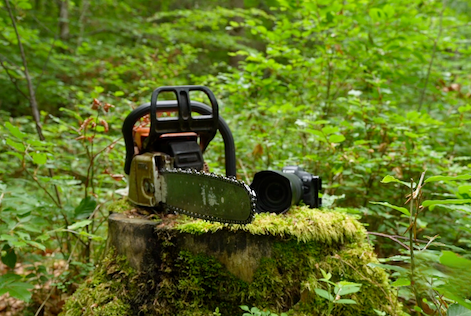 a chainsaw and a camera on a tree stump