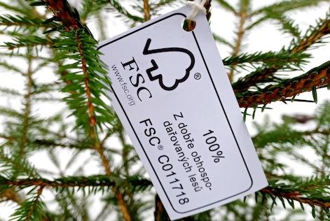 an FSC tag on a christmas tree