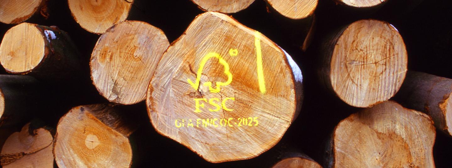 a log with an FSC stamp
