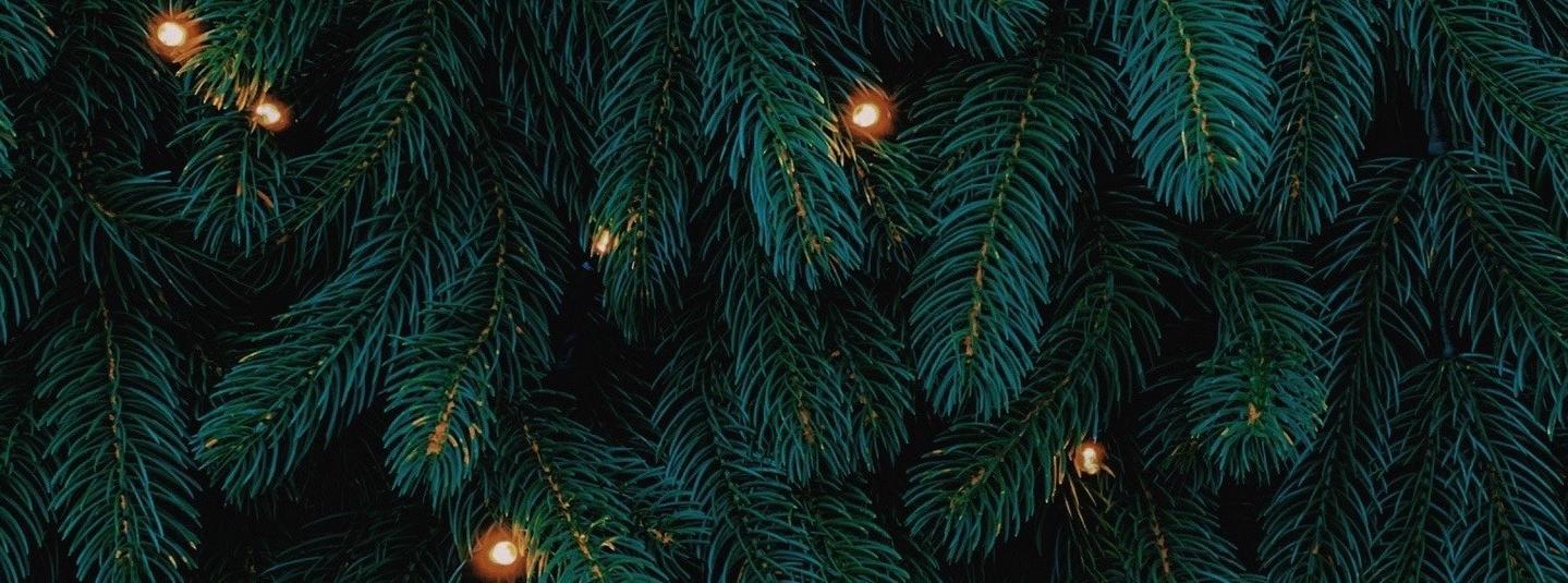 a close-up image of a christmas tree