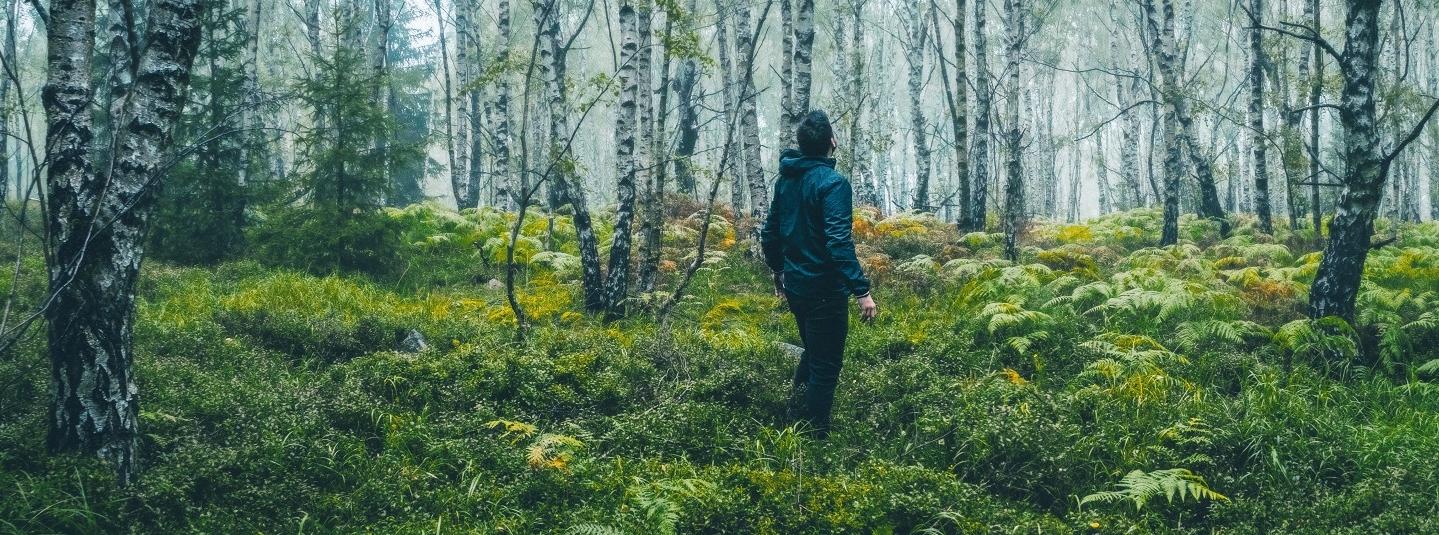 image of a person standing in the middle of a green lit forest