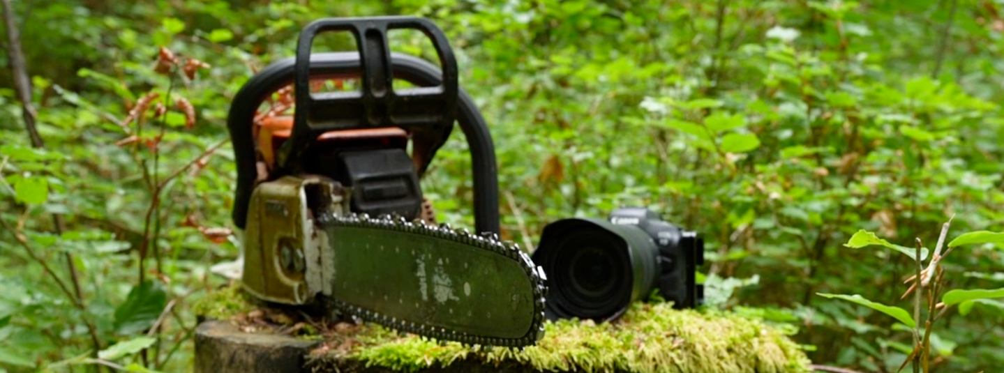 a chainsaw and a camera on a tree stump
