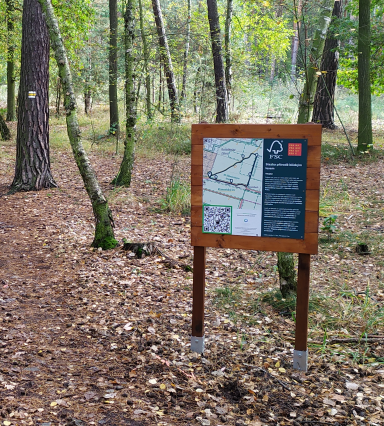 a photo of an FSC forest trail with info board