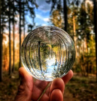 a hand holding a crystal ball with forest image inside