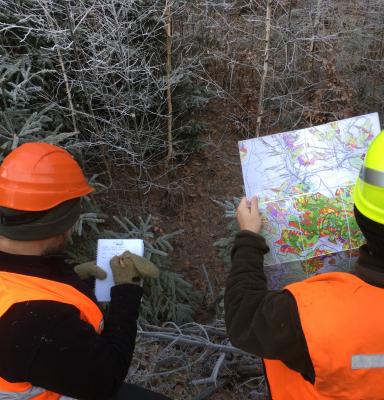 two CAB officers looking into a map of forest