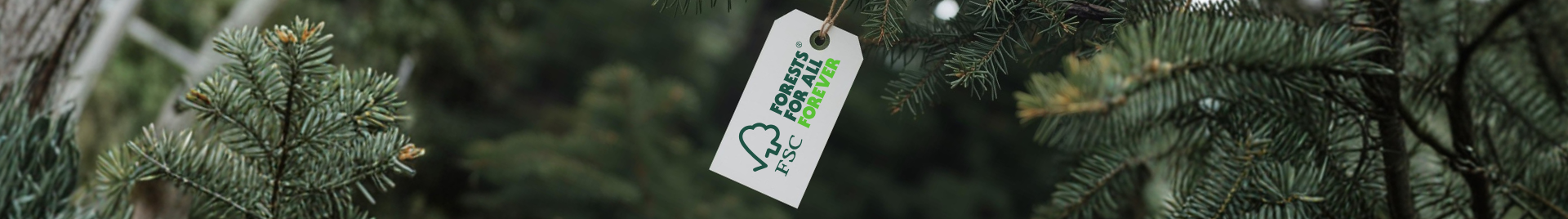 an FSC tag hanging on a spruce tree