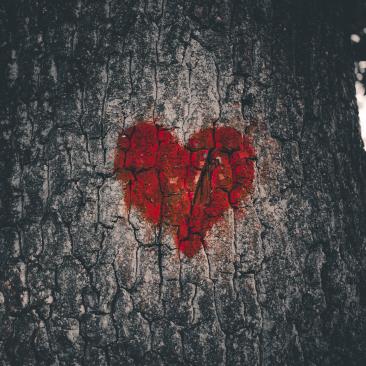 a red heart painted on the trunk of a tree