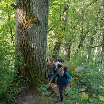 a photo of a group of people in a forest